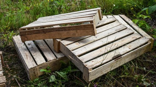 Wood pallet DIYs to try out in your home and garden 