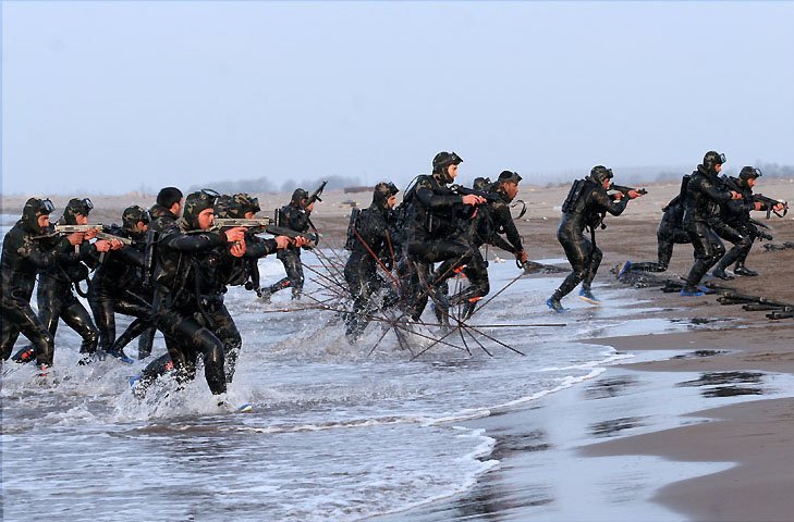 Special Forces  cover image