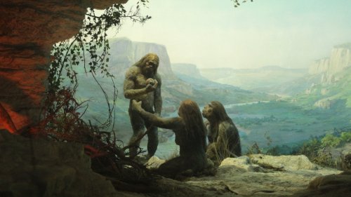 7 Bizarre Species Of Humans That Went Extinct