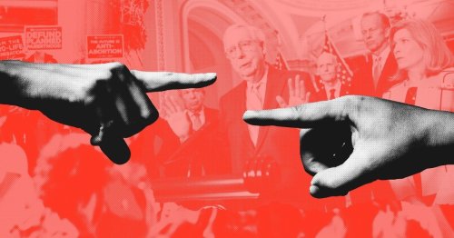 Roe v. Wade will likely be gone. Why aren’t anti-abortion advocates celebrating?