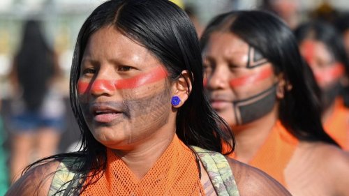 Watch: Supreme court ruling in Brazil returns land to indigenous people
