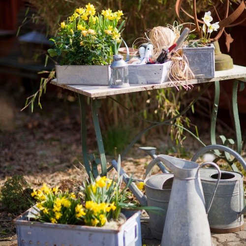 Autumn garden ideas