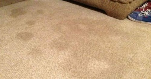 Eliminate the toughest carpet stains with our DIY cleaning guide