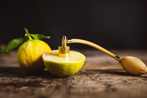 10 BEST CITRUS PERFUMES FOR MEN AND WOMEN
