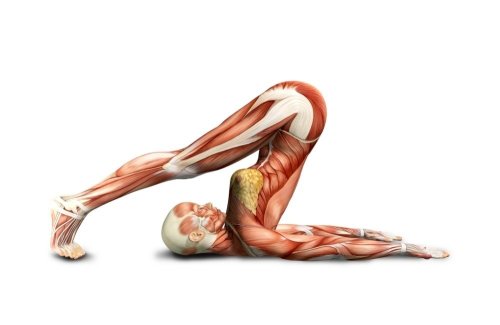 Become More Flexible in 4 Weeks With These 10 Essential Stretches