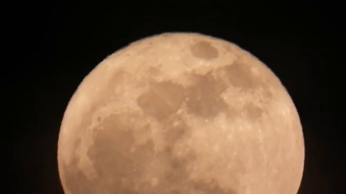 US: Spectacular May s Flower Moon Lights Up Skies