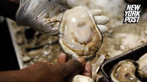 Man dies after eating '1 in a billion' bad oyster at Florida restaurant