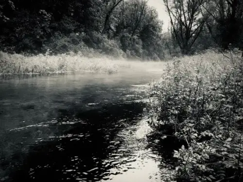 Magazine - FLY FISHING