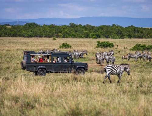 How to plan your first safari