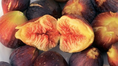 Are Figs Really Full of Baby Wasps? — Plus Other Strange Food Facts