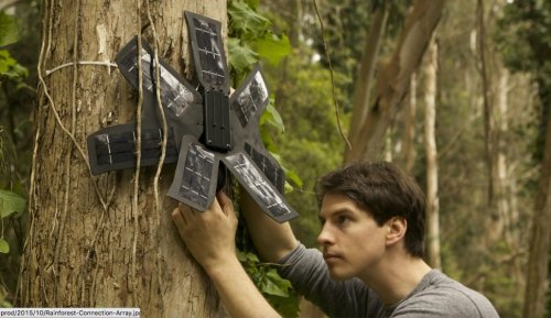 Tune in to see how one social entrepreneur is transforming discarded cell phones into devices to stop illegal logging