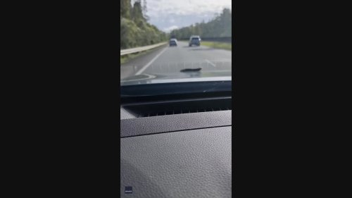 Stowaway Snake Surprises Couple as They Drive Along New South Wales Highway