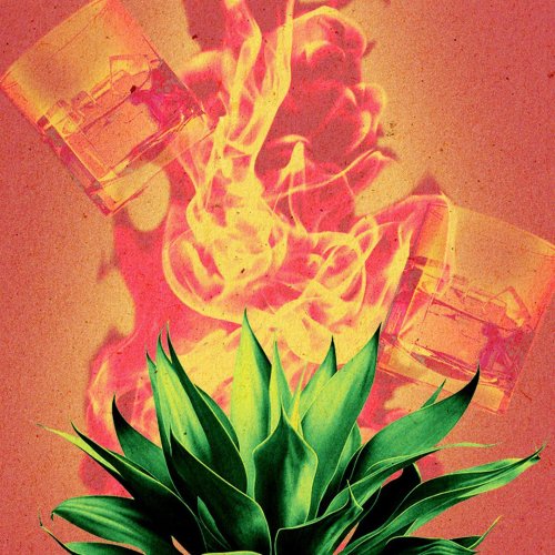 The Best Mezcal To Drink in 2023