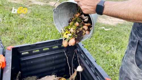 Tips and Tricks To Be The Best at Composting!