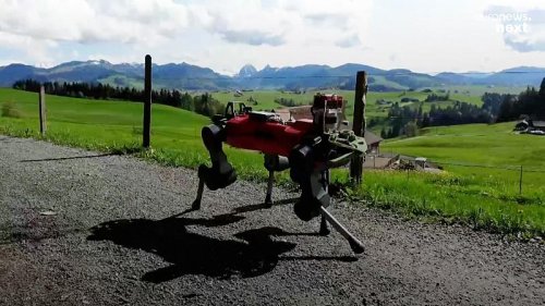 Robot dog that can hike peaks in the Swiss Alps unaided could be used on other planets