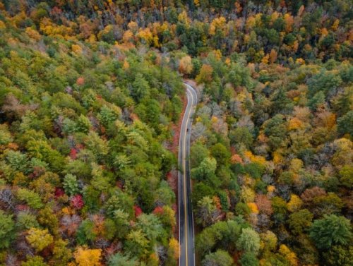 Magazine - North Carolina 
