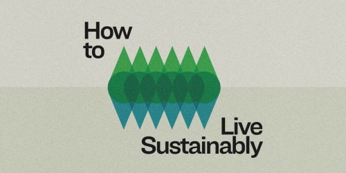 How to Live More Sustainably