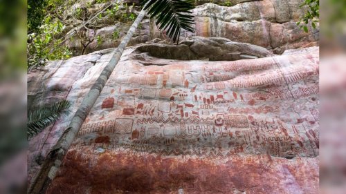Lost Civilizations Revealed in the Ancient Amazon Landscape