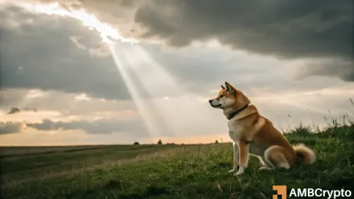 Dogecoin, Shiba Inu price predictions!