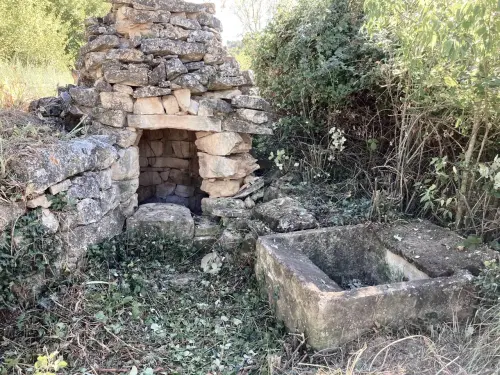 Magazine - Pou De Ciència