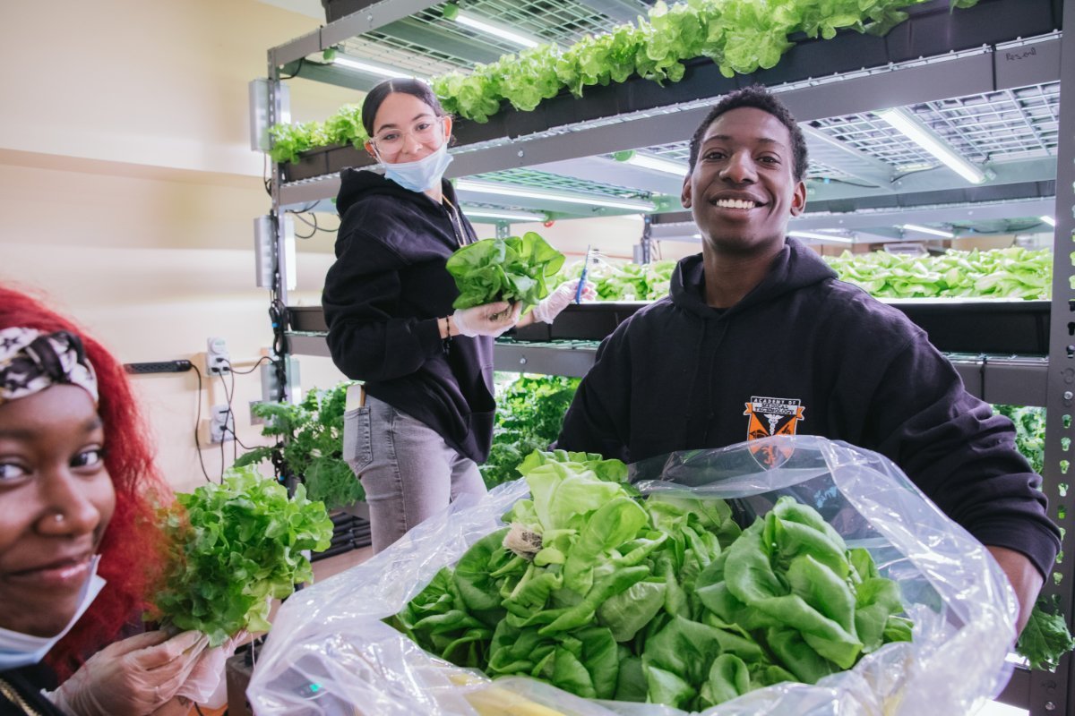 Urban Farms: Growing Food and Community