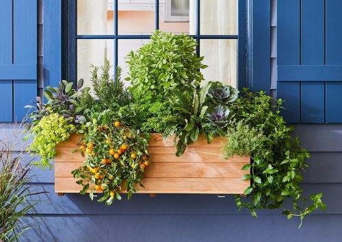 Container Garden Inspiration