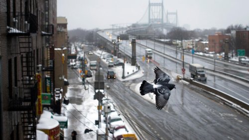 NYC Becomes Target Of Winter Storm, Forecasters Say