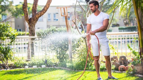 The Best Time Of Day To Water Your Lawn