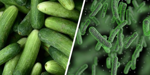 Cucumber recall: Here’s what you need to know in the U.S.