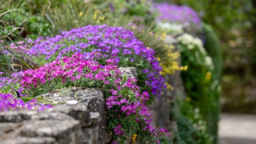 Magazine - Gardening