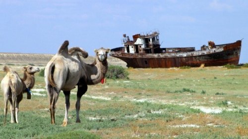 Once-vast Aral Sea dries up to almost nothing | CNN