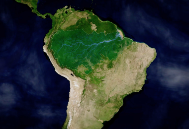 The State of Deforestation in the Amazon