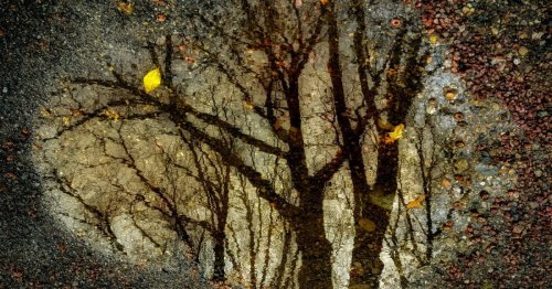 Photography Contests and Winners 2025