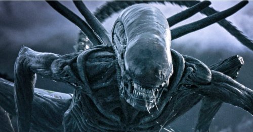 We're getting a new Alien movies - and the lead has been found
