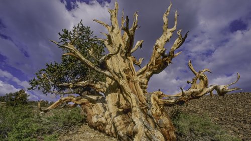 Scientists Had Some Bad Accidents