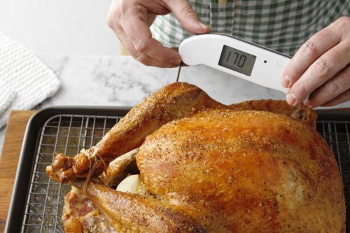 Turkey Tips for a No-Fail Thanksgiving Dinner