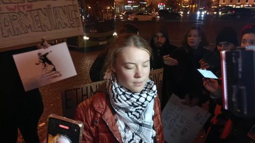 Georgia: Greta Thunberg held a protest in Tbilisi against COP29