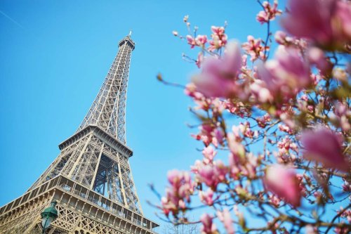 Best Things to do In Paris in May
