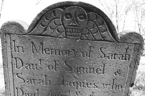 Burying the Dead with JSTOR Daily
