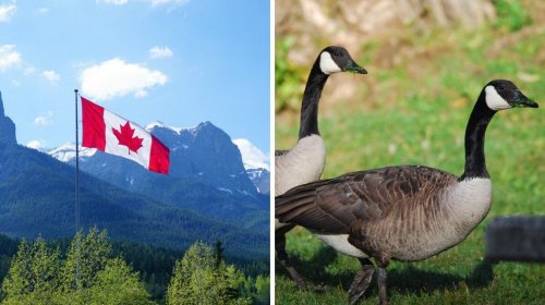How You Can Spot A 'Real Canadian' 