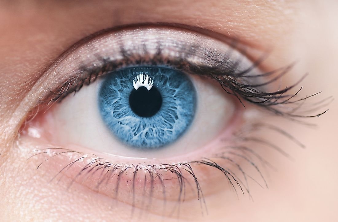 Countries With The Most Blue-Eyed People