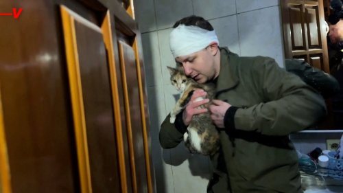 Watch a Ukrainian Man Rescue His Cats From the Aftermath of an Air Strike