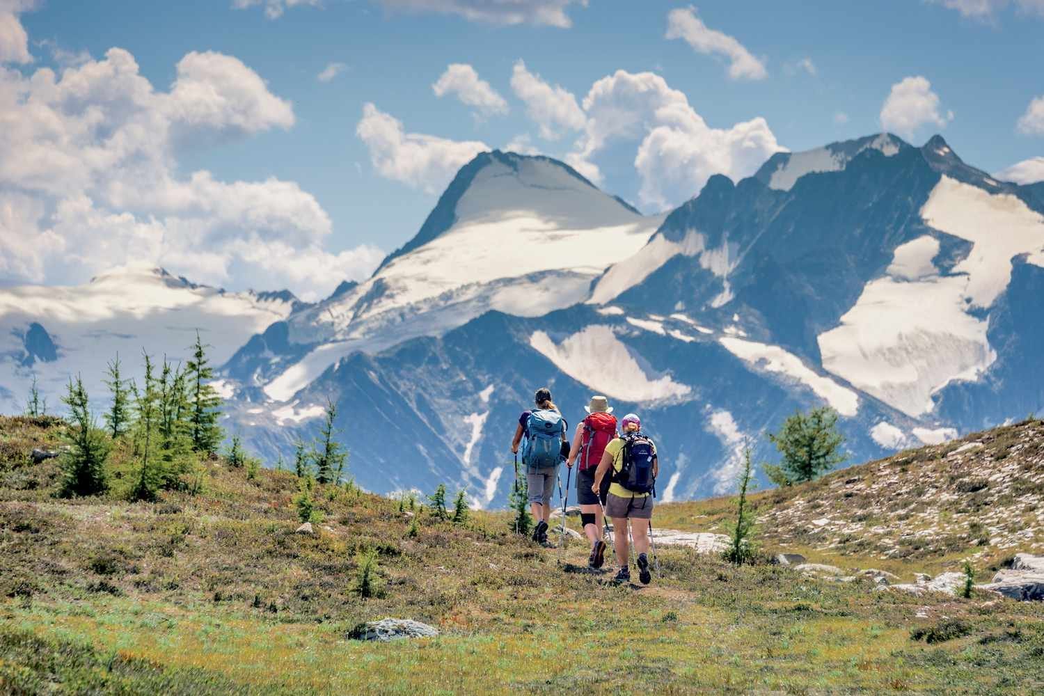 Your Wild Luxury Guide