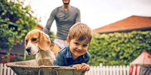 New to Dog Parenting? Here are 14 of the Best Dogs for First-time Owners