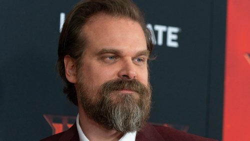 THE GAME THAT RUINED DAVID HARBOUR'S LIFE