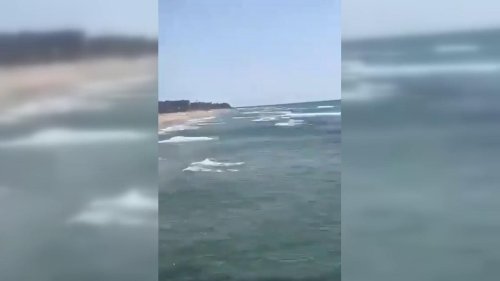Israel: Shark Attack Kills Israeli Swimmer Near Netanya