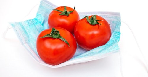 How the media got its “tomato flu” coverage so very wrong