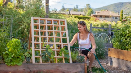 DIY garden trellis ideas to try in your backyard 