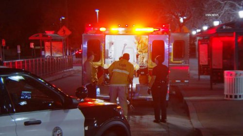 US, Los Angeles: Studio City Stabbing On Metro Train