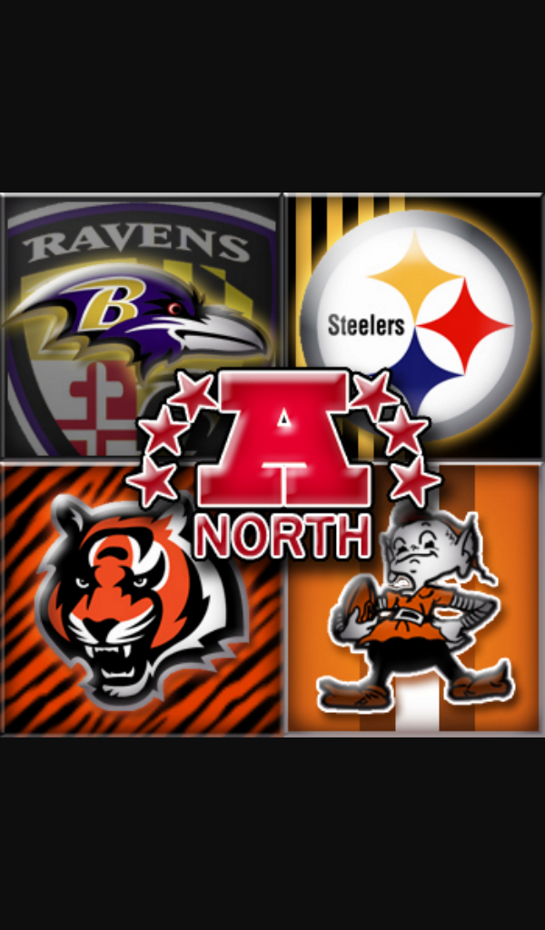 AFC NORTH cover image